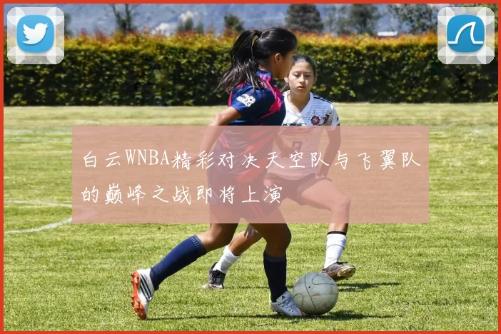 白云WNBA精彩对决天空队与飞翼队的巅峰之战即将上演