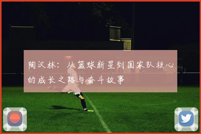 陶汉林：从篮球新星到国家队核心的成长之路与奋斗故事