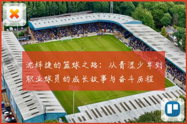 沈梓捷的篮球之路：从青涩少年到职业球员的成长故事与奋斗历程